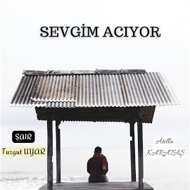 Sevgim Acıyor