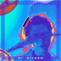 Bi Bilsen
