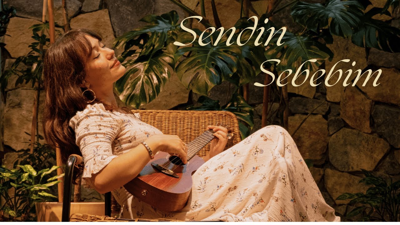 Sendin Sebebim