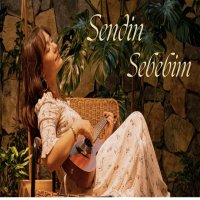 Sendin Sebebim