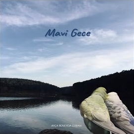 Mavi Gece