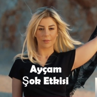 Şok Etkisi