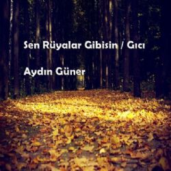 Sen Rüyalar Gibisin