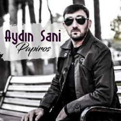 Seni Sensiz Sevirem