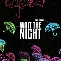 Wait The Night