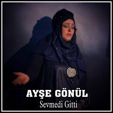 Sevmedi Gitti
