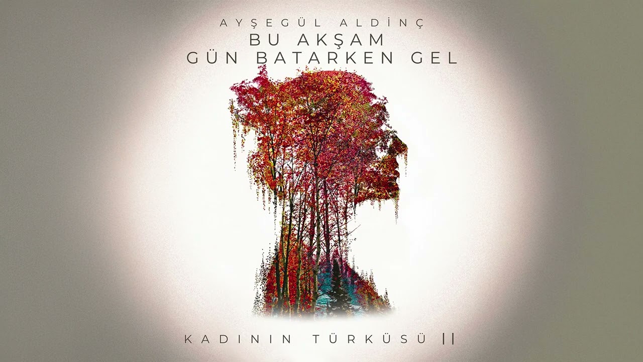 Bu Akşam Gün Batarken Gel