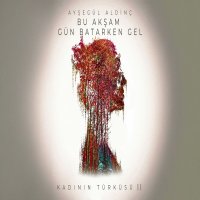 Bu Akşam Gün Batarken Gel