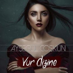 Vur Dizine