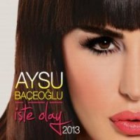 İşte olay 2013