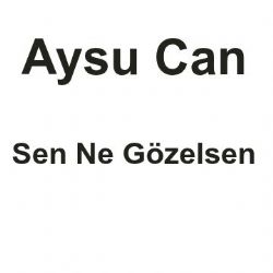 Sen Ne Gözelsen