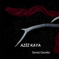 Sensiz Geceler