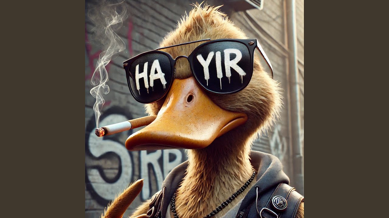 Hayır