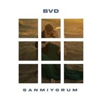 Sanmıyorum