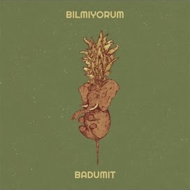 Bilmiyorum