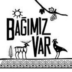Aldırma Gönül