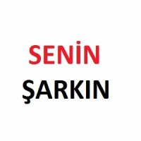 Senin Şarkın