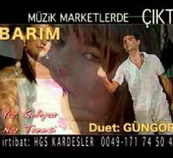 Nar Tanesi