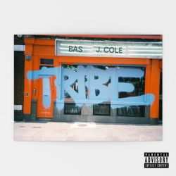 Tribe