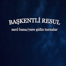 Sarıl Bana, Yare Gidin Turnalar