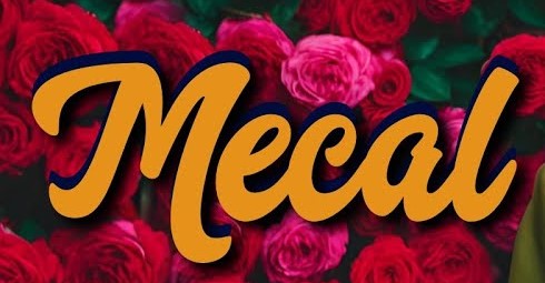 Mecal Kalmaz