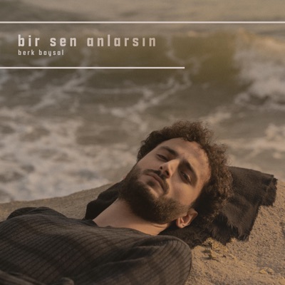Bir Sen Anlarsın