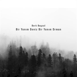 Bir Yanım Deniz Bir Yanım Orman