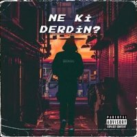 Ne Ki Derdin