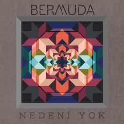 Nedeni Yok