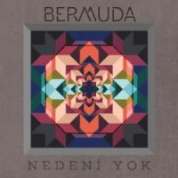 Nedeni Yok