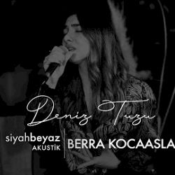 Deniz Tuzu