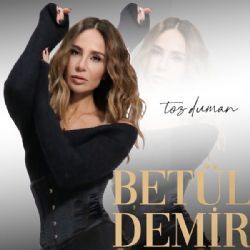 Toz Duman