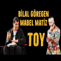 Toy