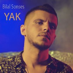 Yak