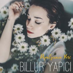 Papatyanın Yeri