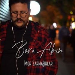 Mor Sarmaşıklar