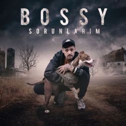 Sorunlarım
