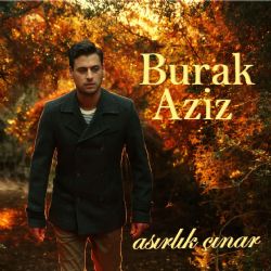 Asırlık Çınar