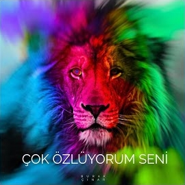Çok Özlüyorum Seni