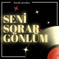 Seni Sorar Gönlüm