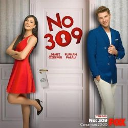 No 309 Dizi Müzikleri