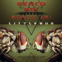 Little Bug