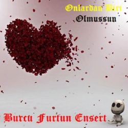 Onlardan Biri Olmuşsun