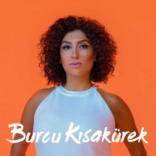 Renkli Uçurtmalar