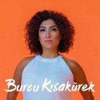Renkli Uçurtmalar