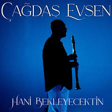 Hani Bekleyecektin