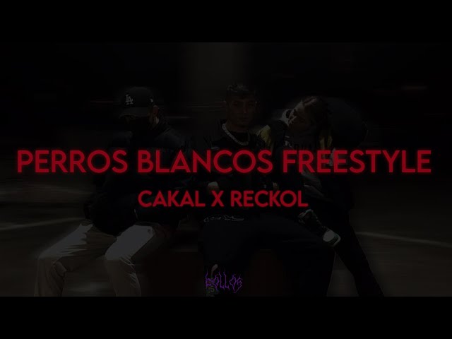 Perros Blancos Freestyle