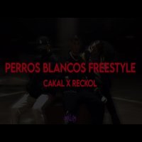 Perros Blancos Freestyle