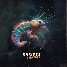 Karides
