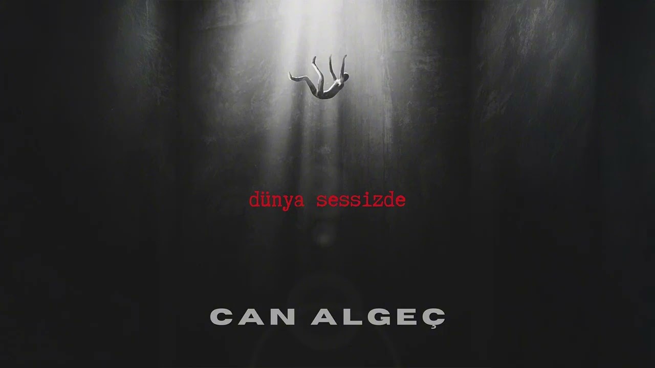 Dünya Sessizde